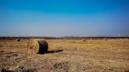 Cazino Adrenaline Cazinou Aplicație mobilă